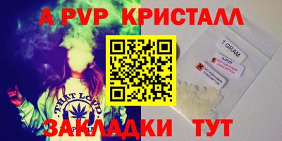 стаф Шебекино