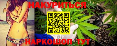стаф Шебекино