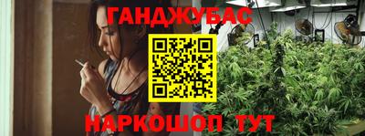 гидра Шелехов